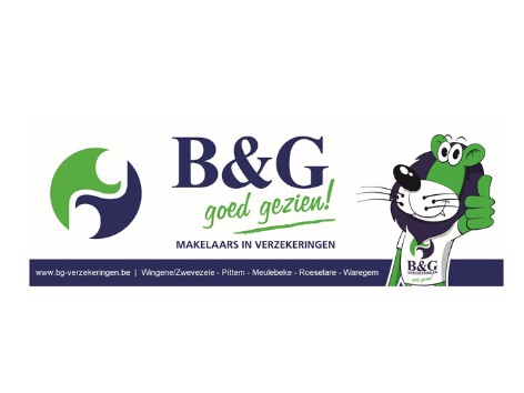 Logo B&G Verzekeringen