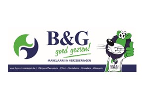 Logo B&G Verzekeringen
